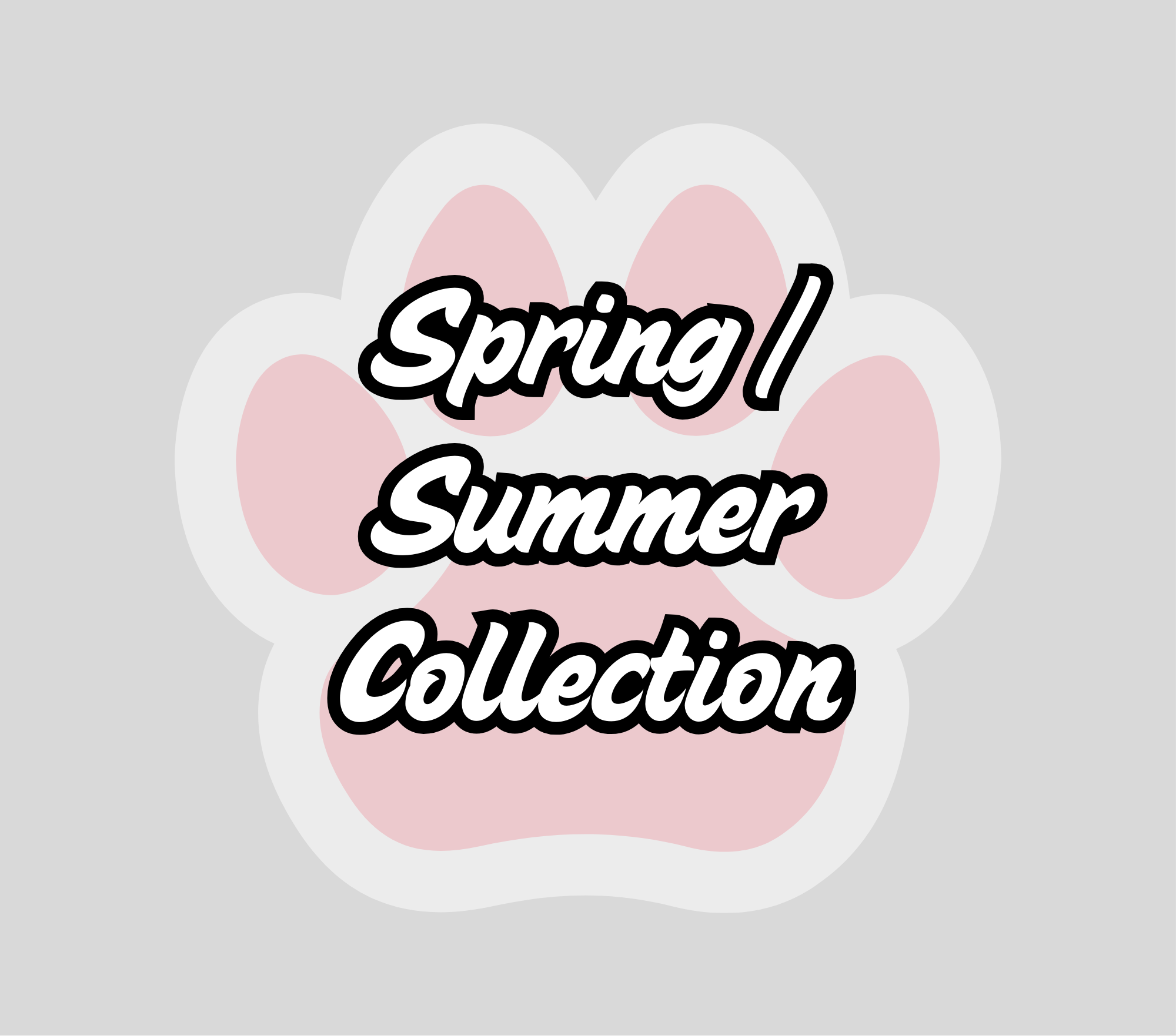 Spring / Summer Collection